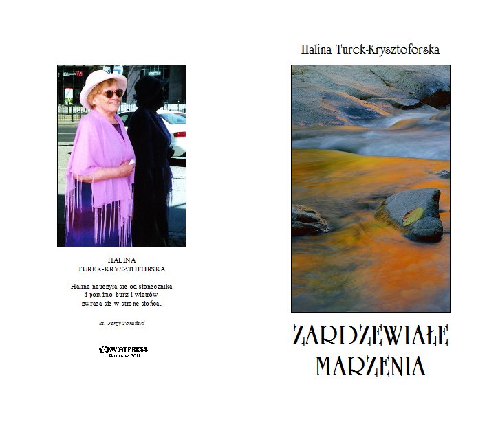 2011-zardzewiale-marzenia-okladka